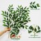 40pcs Italian Ruscus Greenery 68cm Artificial Greenery Stems (Italian Ruscus Stems 40) 0.2"D x 17.72"W x 26.8"H